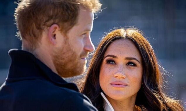 Meghan Markle and Prince Harry are ‘only returning’ to oppose the division of powers