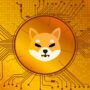 Shiba Inu TO PKR: Today’s Shiba Inu to PKR rates on, May 21, 2022.