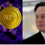 ‘NFT’ Political Cartoon Shared By Elon Musk, Sold By Creator