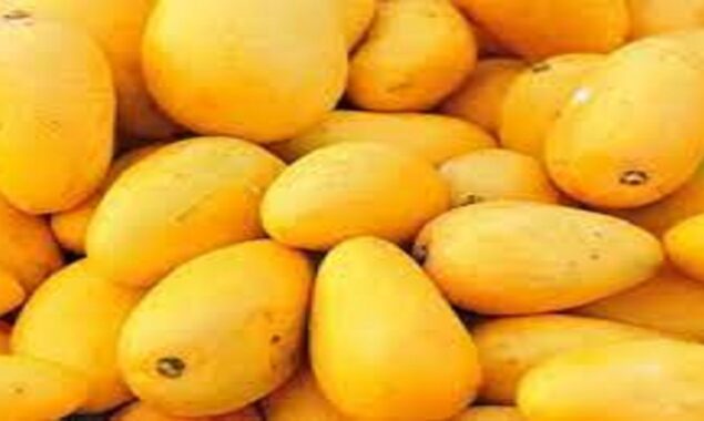 Pakistani Mangoes Set To Hit Chinese Markets Next Week