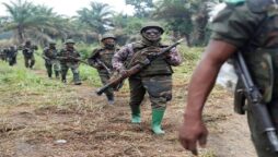 ADF rebels kill 14 civilians in eastern DR Congo