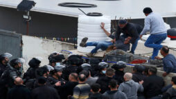 palestinian reporter