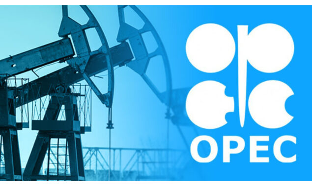 OPEC sees global oil demand growth slowing in 2023