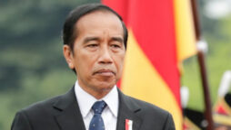 Indonesian president Widodo visits Russia, Ukraine before G20 summit