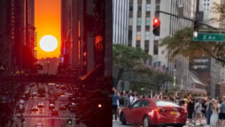 People of New York stop traffic to capture beautiful sunset, watch video