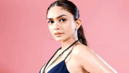 Mrunal Thakur denied rumours about having two college degrees