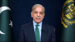 PM Shehbaz