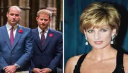Diana would be appalled by the breakdown between Prince William and Prince Harry, says royal author