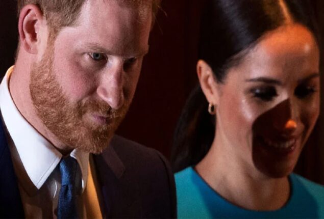 Royal specialist says, Meghan Markle and Prince Harry are “playing with fire”