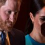 Royal specialist says, Meghan Markle and Prince Harry are “playing with fire”