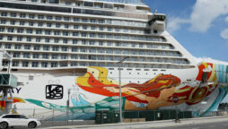 OVID cases on cruise ships