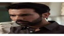 Rajkummar Rao led Hit opens at Rs. 1 cr; Taapsee Pannu’s Shabaash Mithu rakes-in Rs. 40 lakh on Day 1