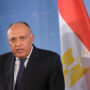 Egypt’s FM Shoukry in London to inaugurate 1st partnership council