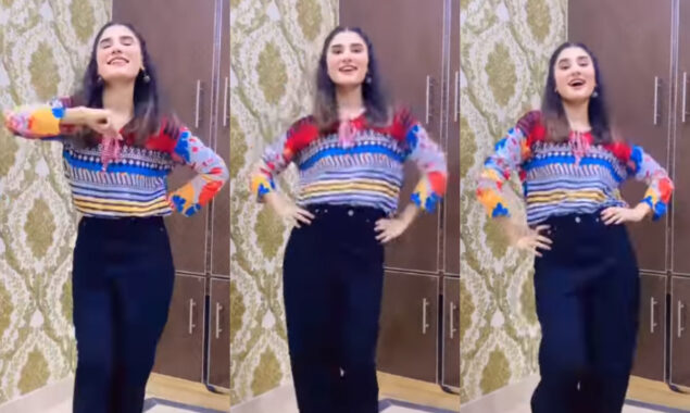 Netizens reacts on Nimra Ali recent video on Shamshera song Ji Huzoor