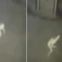 Viral: CCTV captures ghostly pale figure that horrifies netizens