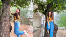 Dananeer Mobeen leaves fans stunned with alluring pictures