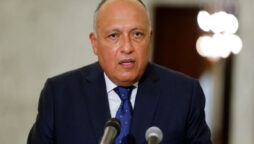 sameh shoukry
