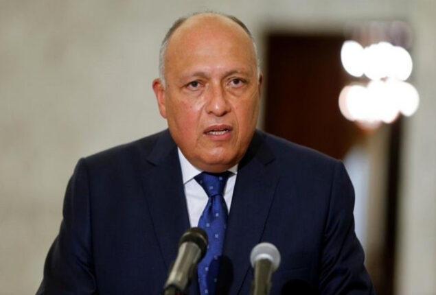 Egypt FM Sameh Shoukry, UN climate official have discussions