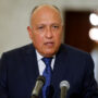 Egypt FM Sameh Shoukry, UN climate official have discussions