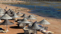 Two women killed in Egypt Red Sea shark attack