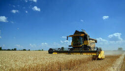 Kyiv and Moscow agree to resume Black Sea grain shipments