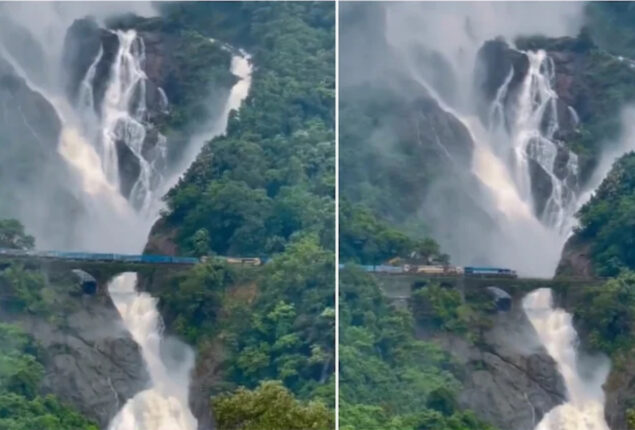 Viral Video: Goa’s Dudhsagar Falls look stunning