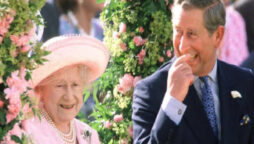 Prince Charles was ‘persuaded’ by the Queen to stay in the family