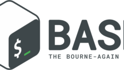 How to install Bash on Windows 11