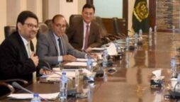 ECC approves bid to purchase 500,000 metric tonnes of wheat