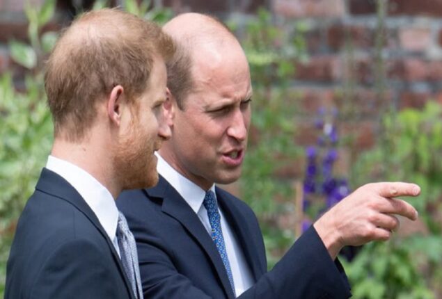 Prince William protected Prince Harry