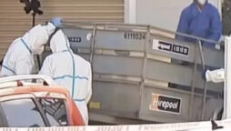 New Zealand auction finds child remains in suitcases