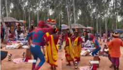 Hilarious Video: Desi Spider-Man dances to folk music 