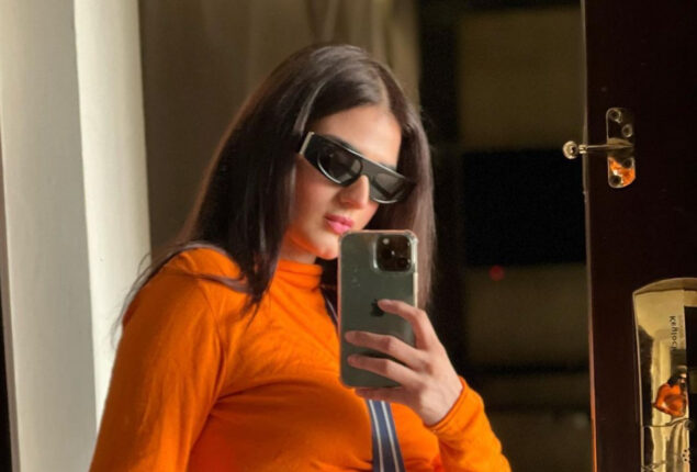 Hira Mani looks ravishing in yellow saree, See photos