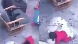 Viral video shows cat saves toddler from falling down stairs