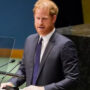 Prince Harry not able to attract enough audience at UN
