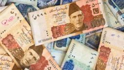 Rupee’s winning streak ends in interbank