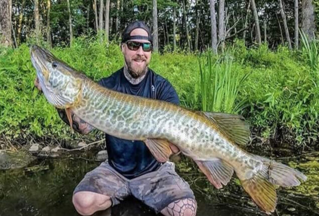 Look: ‘Monster’ fish caught by American fishermen stuns internet