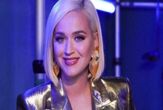 Katy Perry threw a pizza into the audience. WATCH