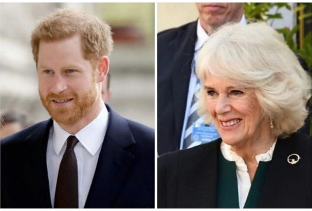 Prince Harry labelled as ‘fake feminist’ for disrespecting Camilla