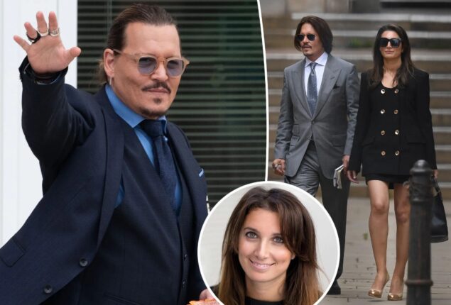 Johnny Depp and Joelle Rich are sorting out their relationship