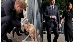 Prince Harry