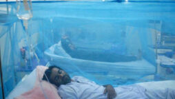 dengue alarming situation