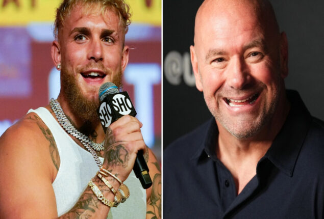 Jake Paul wants Dana White to bid $5m in fight against Silva