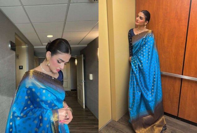 Hira Mani flaunts her curves in Saree as she looks ravishing