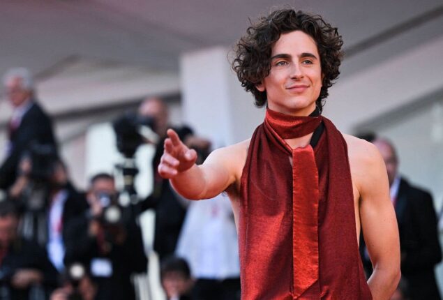 Timothée Chalamet discussed advice given by Leonardo DiCaprio