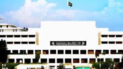 parliamentarians assets