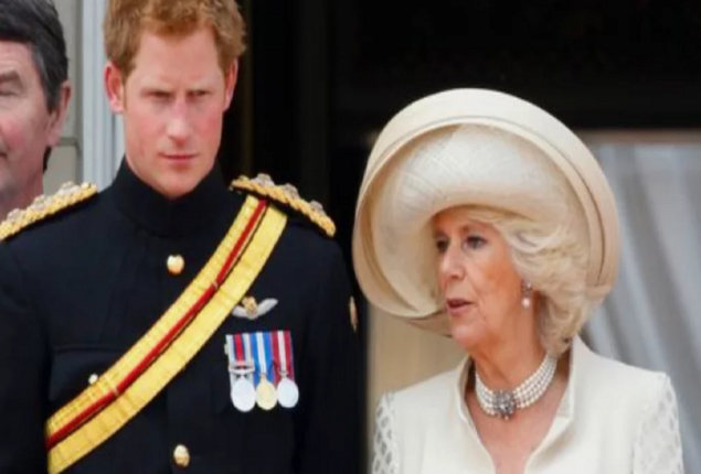 Due to “protocol adjustments,” Prince Harry must bow to Queen Consort Camilla