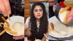 fries with ice cream