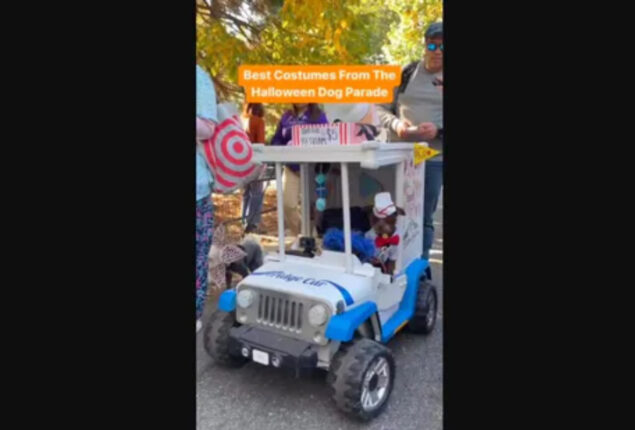 Best Halloween dog parade costumes video amuses