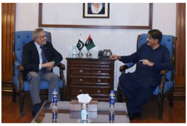 Finance Minister Ishaq Dar discusses flood situation with CM Sindh